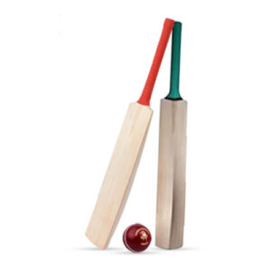 Cricket Bat